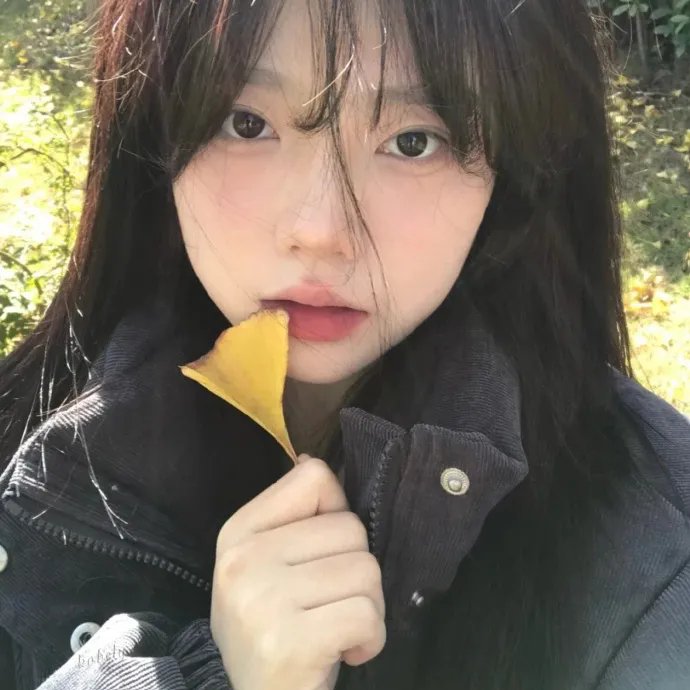 2026热播剧精选第149期